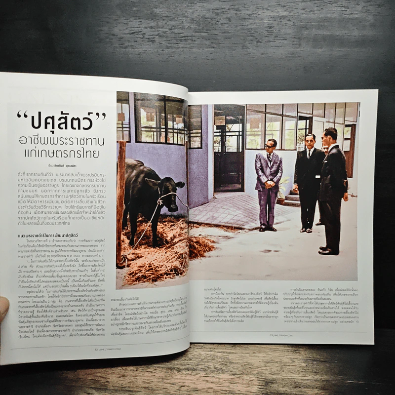 แพรว ปีที่ 39 ฉบับที่ 931 10 มิ.ย.2561 รูปที่ 8