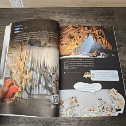 ทริปสุดสัปดาห์ สวนผึ้ง อัมพวา มหาชัย ราชบุรี นครปฐม - DPLUS GUIDE รูปที่ 8