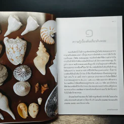 มหาสังข์ในหลากมิติ - ชัยจักร ทวยุทธานนท์ รูปที่ 8