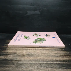นกในป่าสะแกราช Birds of Sakaerat - สถาบันวิจัยวิทยาศาสตร์และเทคโนโลยีแห่งประเทศไทย รูปที่ 3