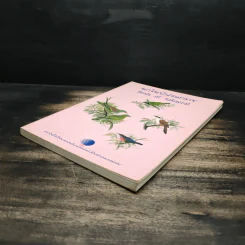 นกในป่าสะแกราช Birds of Sakaerat - สถาบันวิจัยวิทยาศาสตร์และเทคโนโลยีแห่งประเทศไทย รูปที่ 4