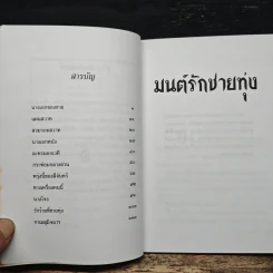 มนต์รักชายทุ่ง - เกม กันยา รูปที่ 7