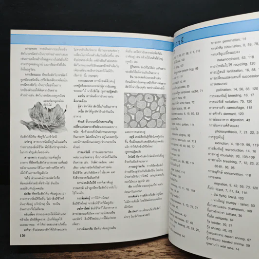 Go Genius สารานุกรมสำหรับเยาวชน โลกของสิ่งมีชีวิต - พิศาล สร้อยธุหร่ำ รูปที่ 8