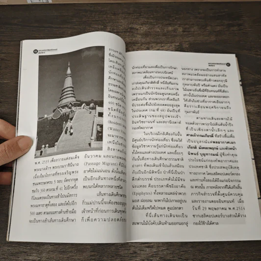 แค้มป์คาร์ Vol.17 อินทนนท์ รูปที่ 7