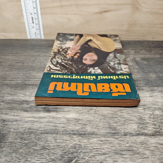 เชียงใหม่ - ปราโมทย์ ทัศนาสุวรรณ รูปที่ 4