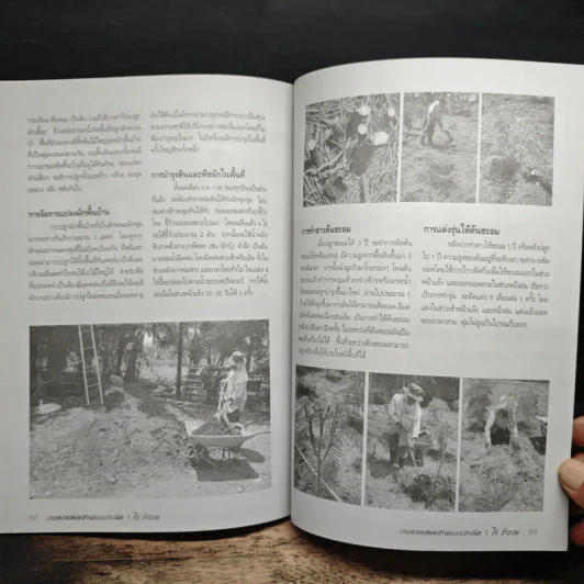 1 ไร่ร่ำรวย - นันทนิตย์ อนุศาสนะนันทน์ รูปที่ 9