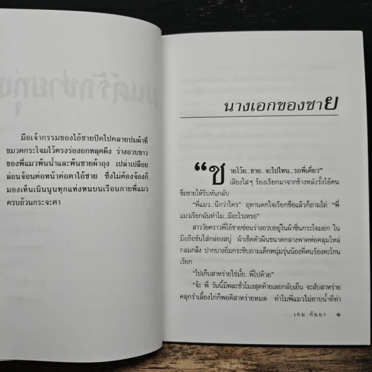 มนต์รักชายทุ่ง - เกม กันยา รูปที่ 8