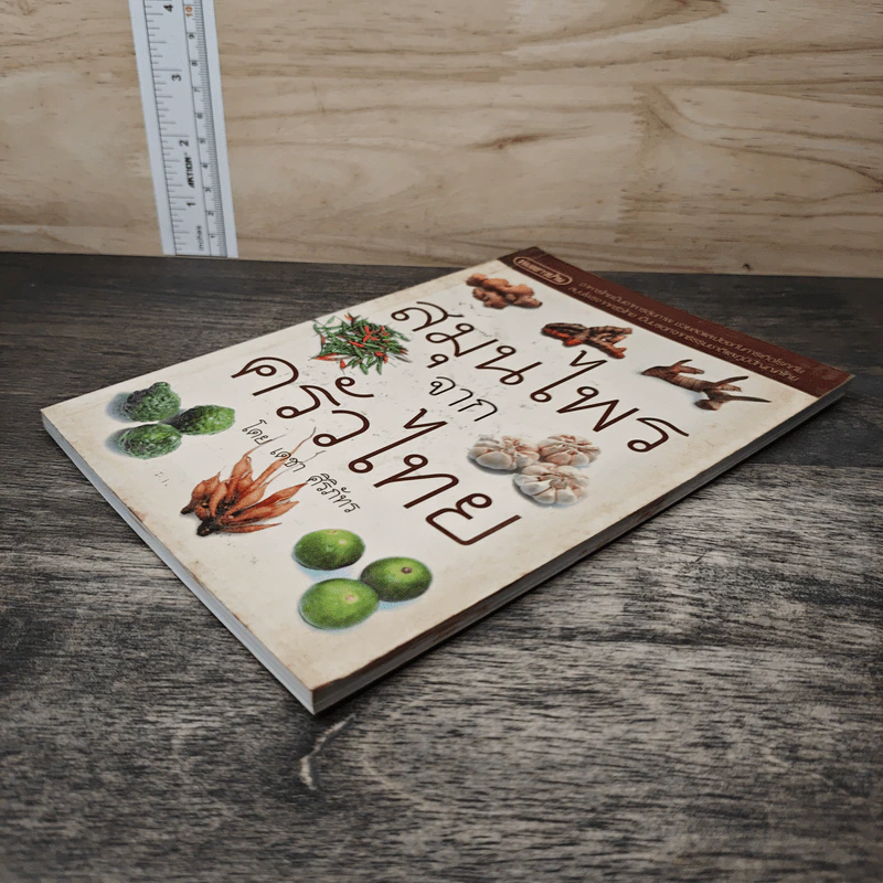 สมุนไพรจากครัวไทย - เดชา ศิริภัทร รูปที่ 3