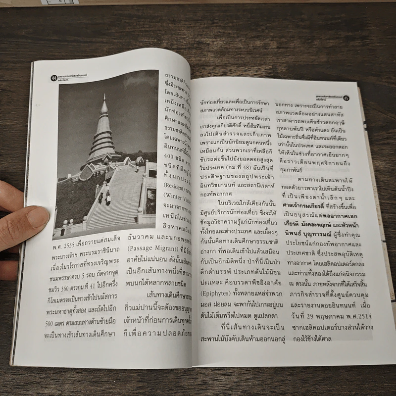 แค้มป์คาร์ Vol.17 อินทนนท์ รูปที่ 7
