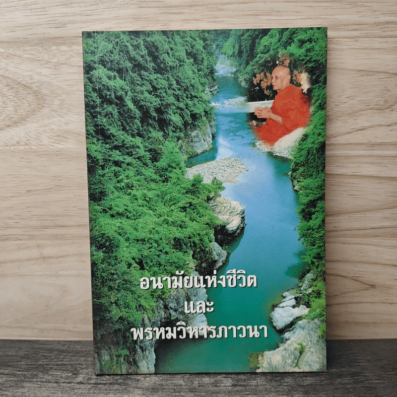 อนามัยแห่งชีวิตและพรหมวิหารภาวนา รูปที่ 1