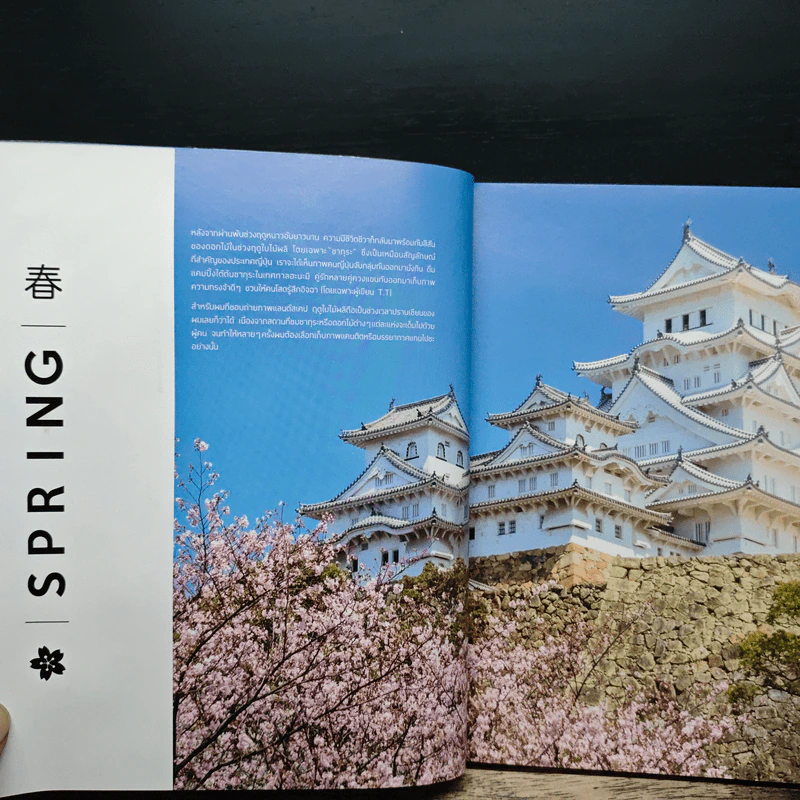 Japan Best of Seasons สัมผัสญี่ปุ่นสี่ฤดูผ่านมุมมองการถ่ายภาพของ รุจ ศุภรุจ - รุจ ศุภรุจ รูปที่ 10