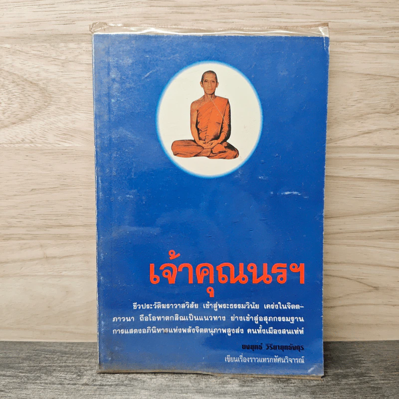 เจ้าคุณนรฯ - ยงยุทธ์ วิริยายุทธังกุร รูปที่ 1