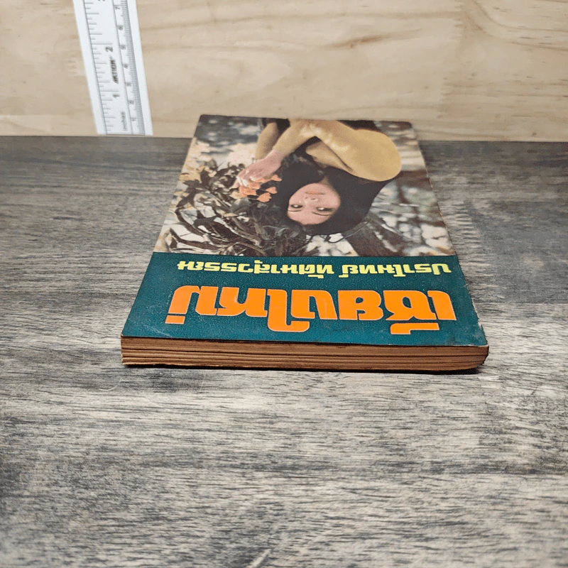 เชียงใหม่ - ปราโมทย์ ทัศนาสุวรรณ รูปที่ 4