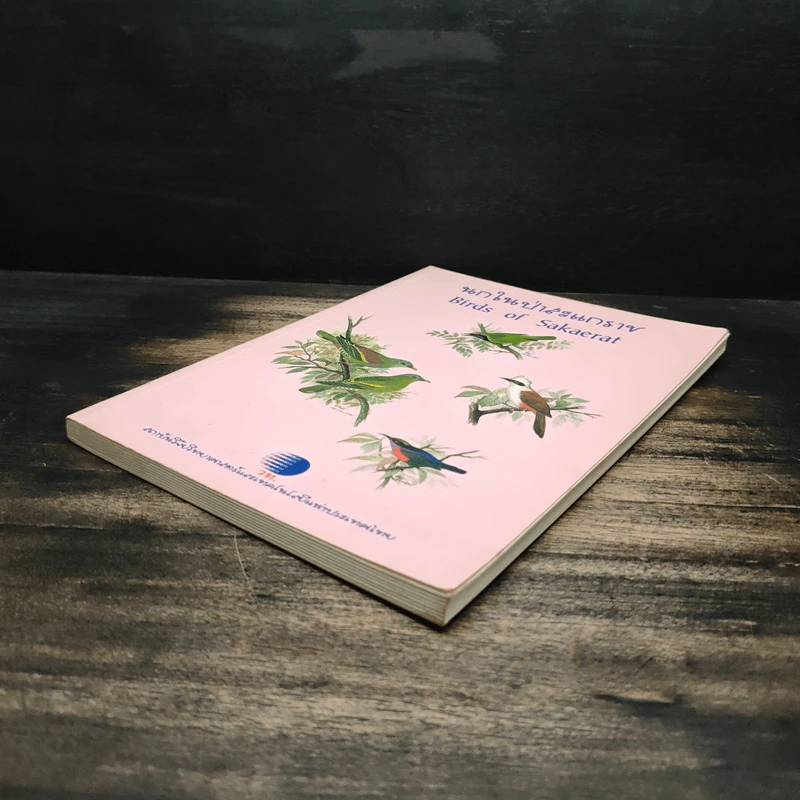 นกในป่าสะแกราช Birds of Sakaerat - สถาบันวิจัยวิทยาศาสตร์และเทคโนโลยีแห่งประเทศไทย รูปที่ 4