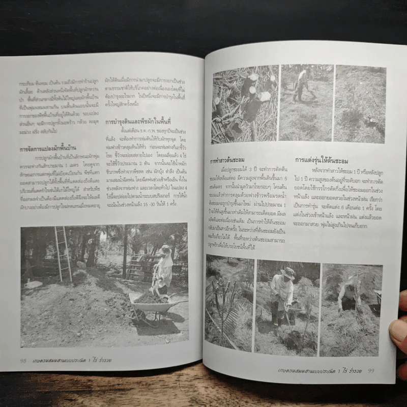 1 ไร่ร่ำรวย - นันทนิตย์ อนุศาสนะนันทน์ รูปที่ 9