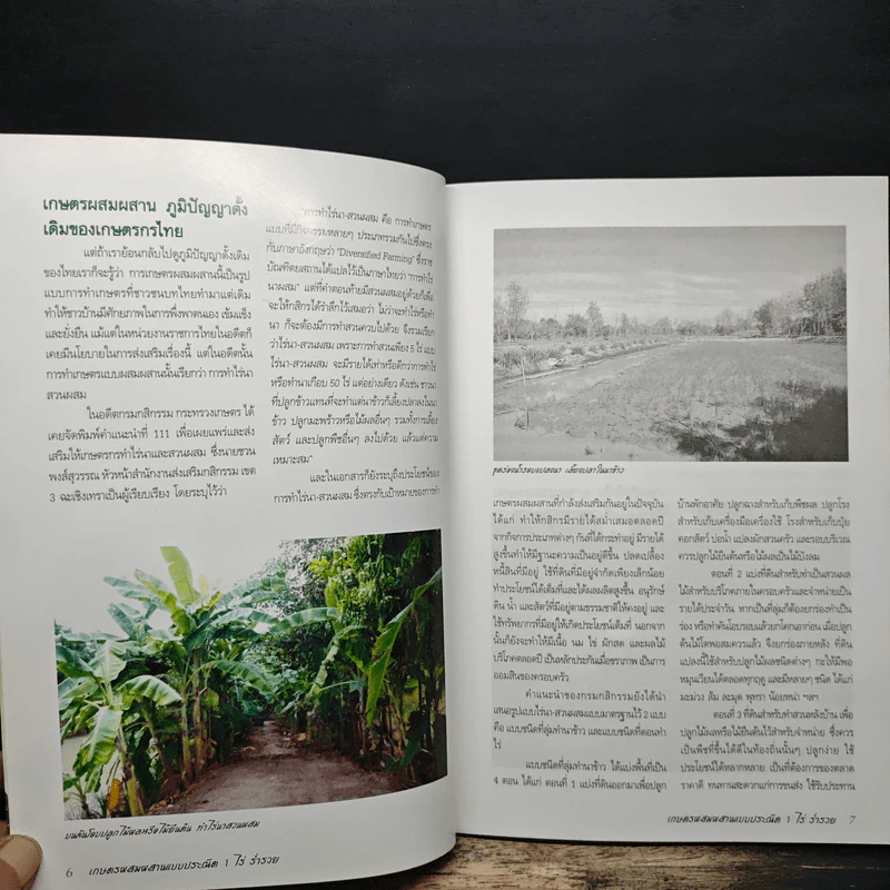 1 ไร่ร่ำรวย - นันทนิตย์ อนุศาสนะนันทน์ รูปที่ 8