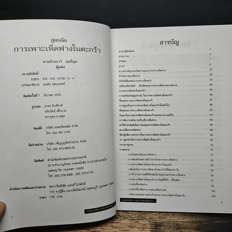 สูตรเด็ดการเพาะเห็ดฟางในตะกร้า - สำเนาว์ ฤทธิ์นุช รูปที่ 6
