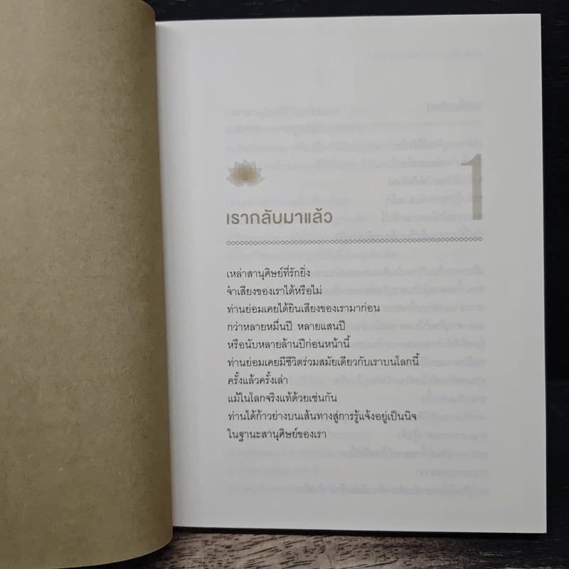 พระพุทธองค์กลับมาแล้ว - ริวโฮ โอคาวา รูปที่ 8