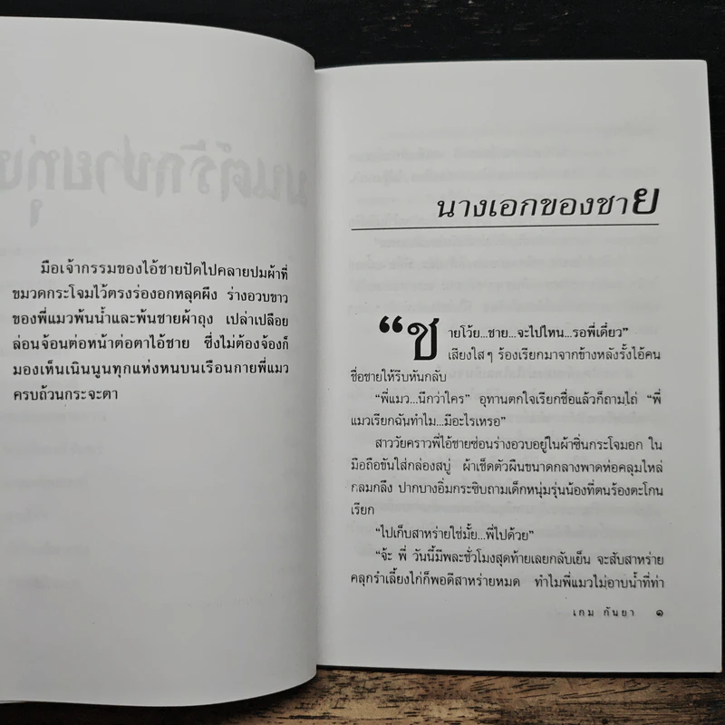 มนต์รักชายทุ่ง - เกม กันยา รูปที่ 8