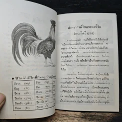 ตำราพยากรณ์สิบสองราศี ปีระกา รูปที่ 7