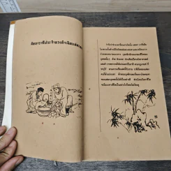 ศาสตร์ซินแส - ทินจื้อ รูปที่ 6
