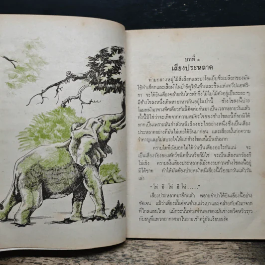 พลายจำปา รูปที่ 7