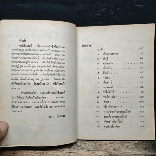 พลายจำปา รูปที่ 6