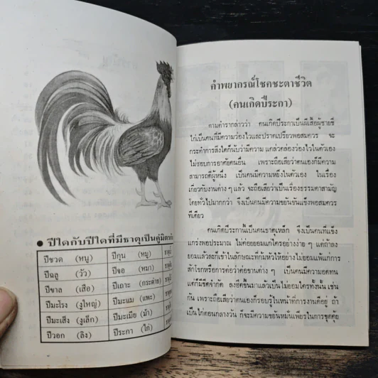 ตำราพยากรณ์สิบสองราศี ปีระกา รูปที่ 7