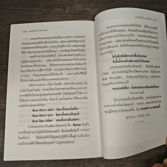พระพุทธกิจ 45 พรรษา รูปที่ 9