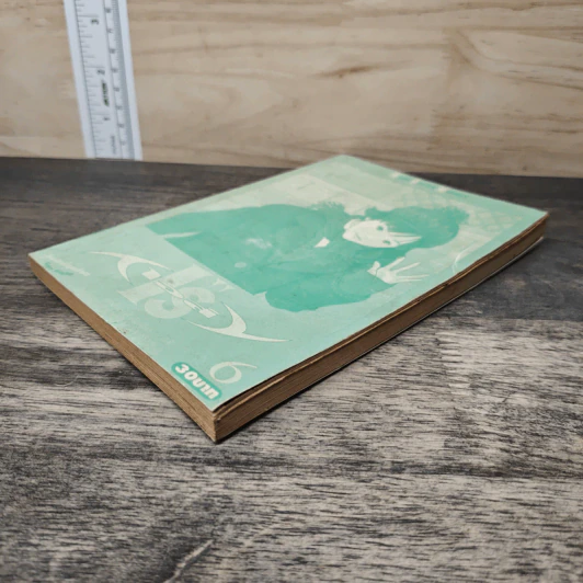 I"S ไอส์ เล่ม 6 - มาซาคากิ คัตสึระ รูปที่ 3