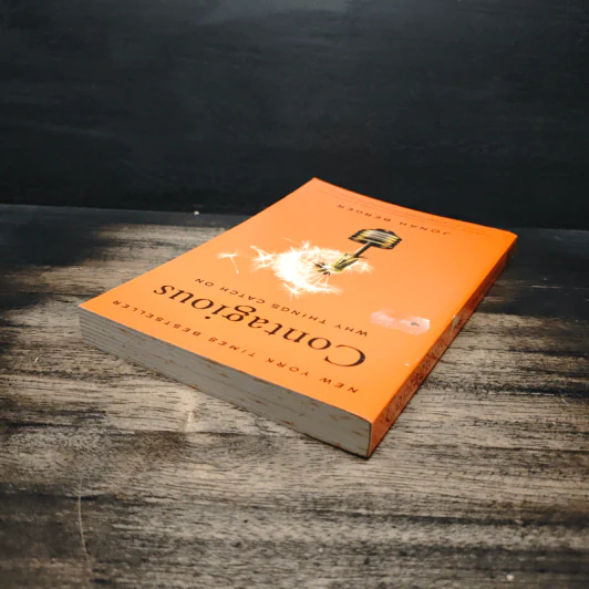 Contagious: Why Things Catch On - Jonah Berger รูปที่ 5