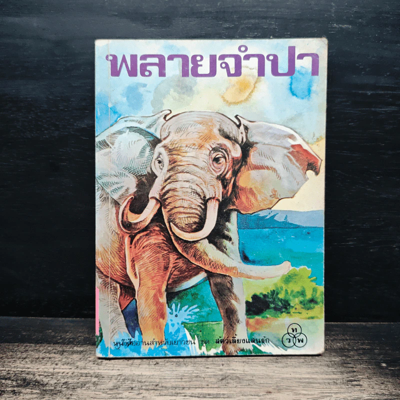 พลายจำปา รูปที่ 1