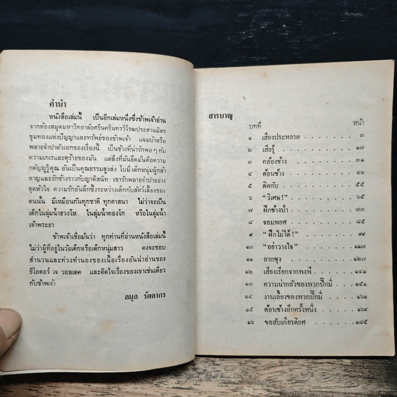 พลายจำปา รูปที่ 6
