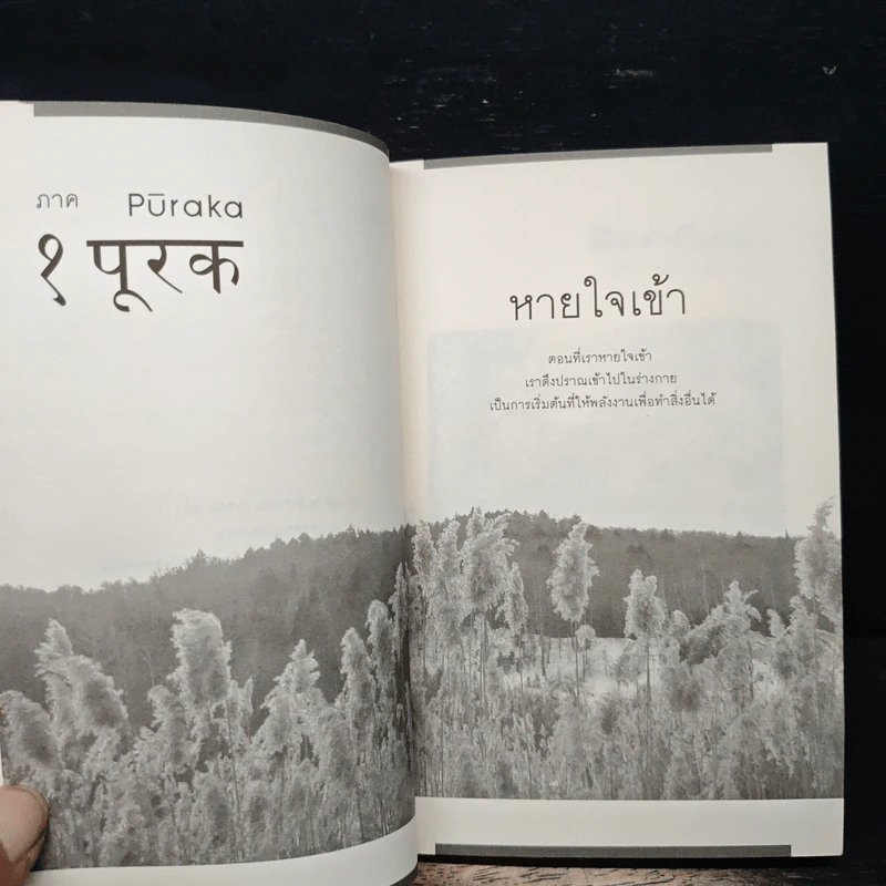 ผู้ชายที่เคยหายใจไม่เป็น  Yogi Boy - ลุค แคสซาดี-ดอเรียน รูปที่ 8