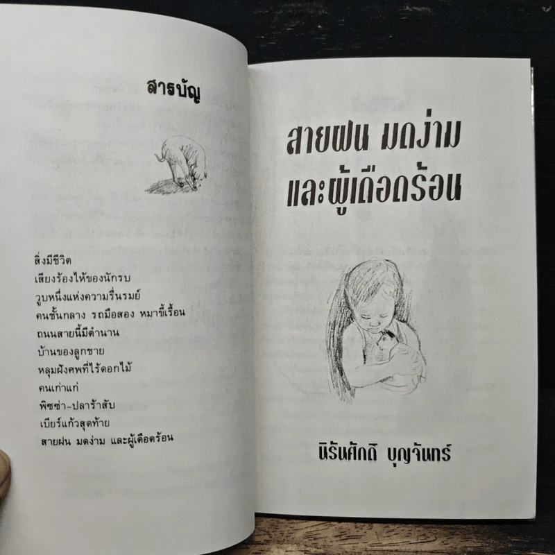 สายฝนมดง่ามและผู้เดือดร้อน - นิรันศักดิ์ บุญจันทร์ รูปที่ 7