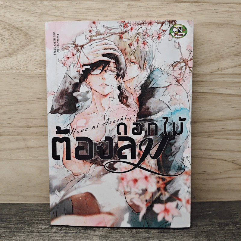ดอกไม้ต้องลม รูปที่ 1