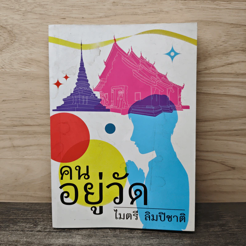 คนอยู่วัด - ไมตรี ลิมปิชาติ รูปที่ 1
