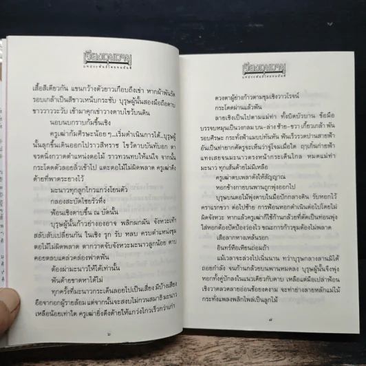 เวียงกุมกาม - ทมยันตี รูปที่ 8