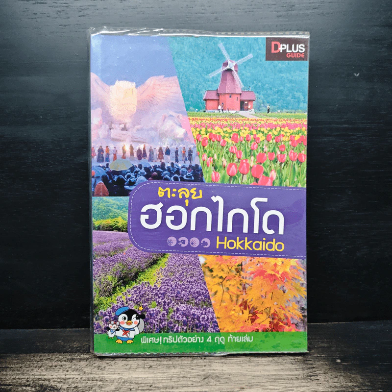 ตะลุยฮอกไกโด Hokkaido รูปที่ 1