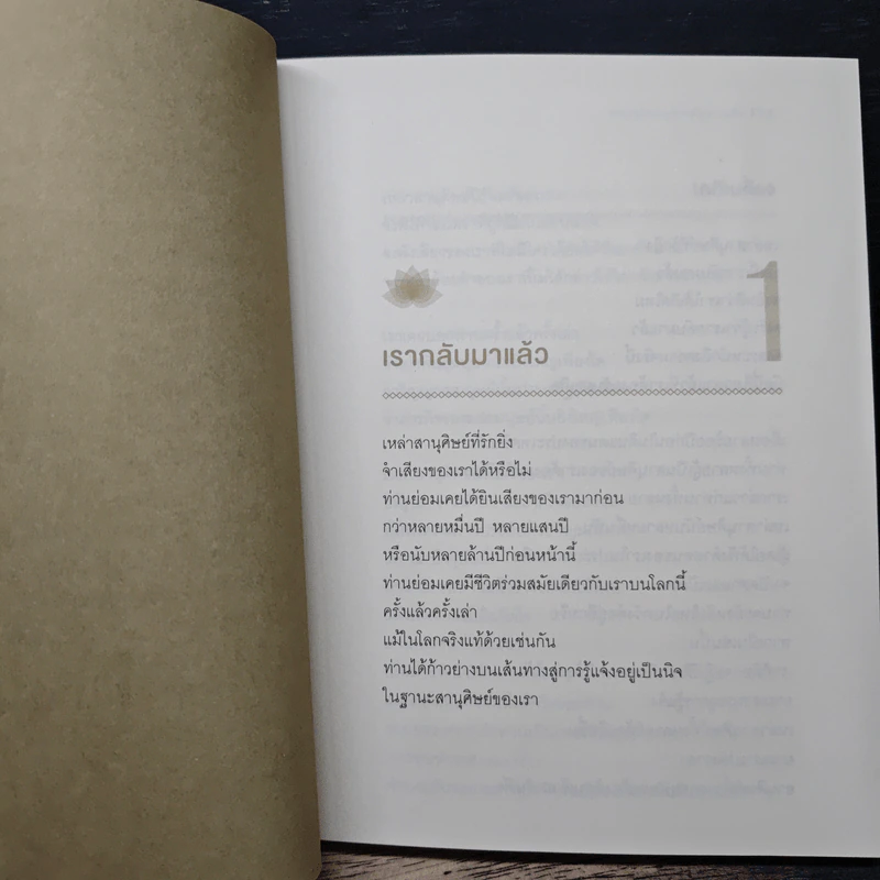 พระพุทธองค์กลับมาแล้ว - ริวโฮ โอคาวา รูปที่ 8