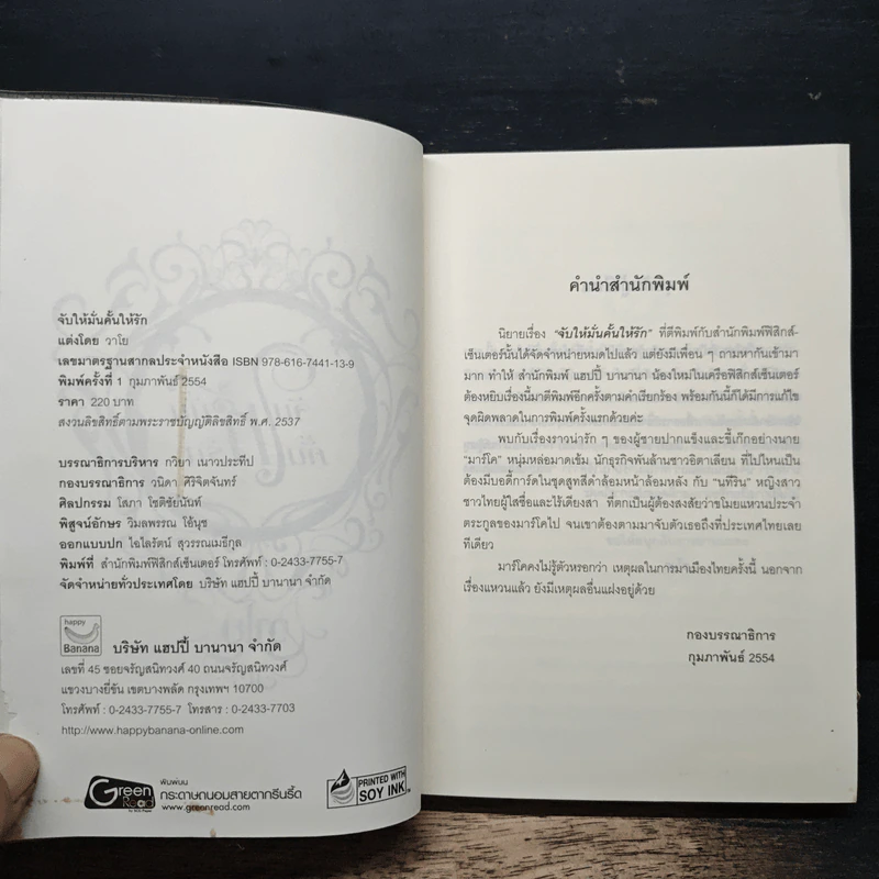 จับให้มั่นคั้นให้รัก - วาโย รูปที่ 6