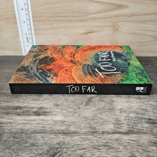 Too Far - Rich Shapero รูปที่ 2