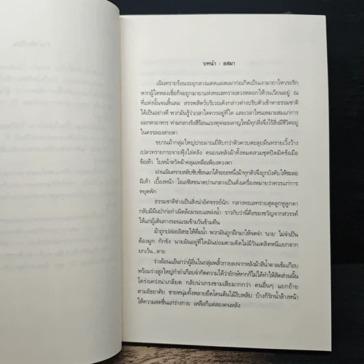 บุหงาแห่งผืนทราย - ปรุฬห์ รูปที่ 7