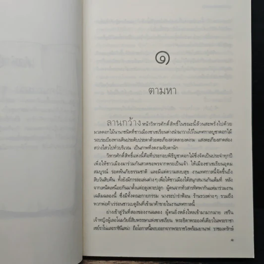 ชาชาโบยา - ลูกตาลลอยแก้ว รูปที่ 7