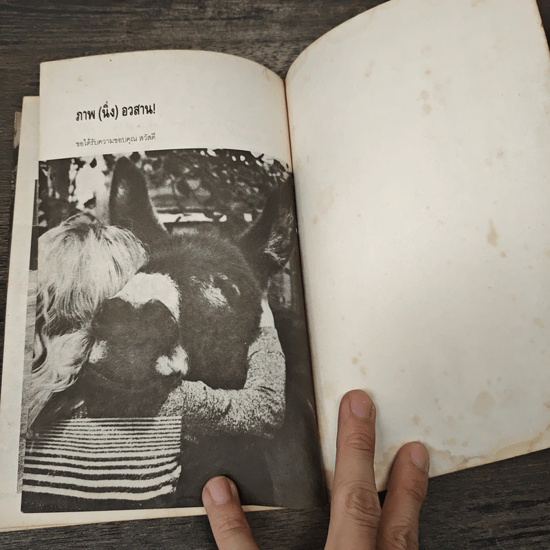 หัวร่อจนตกเก้าอี้ - ฟิลิป บี. คุนฮาดต์, จูเนียร์ รูปที่ 7
