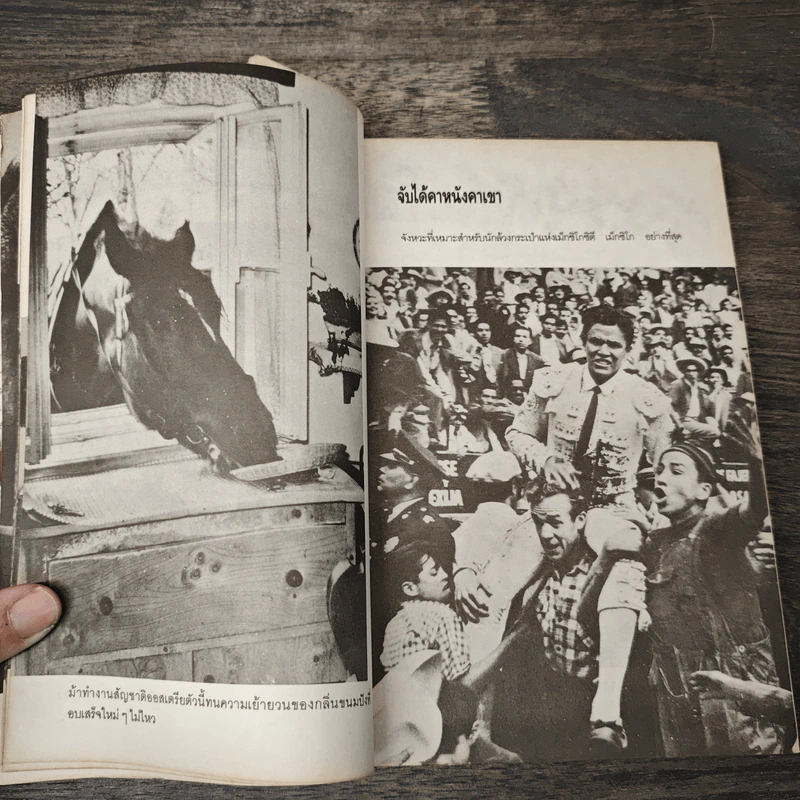 หัวร่อจนตกเก้าอี้ - ฟิลิป บี. คุนฮาดต์, จูเนียร์ รูปที่ 6