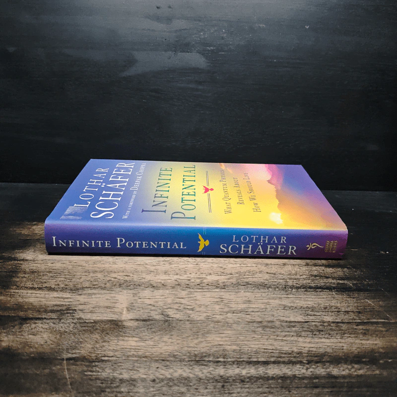 Infinite Potential - Lothar Schäfer รูปที่ 3