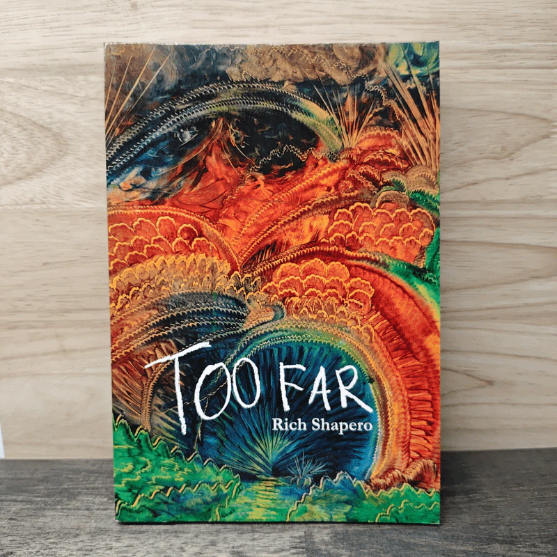 Too Far - Rich Shapero รูปที่ 1