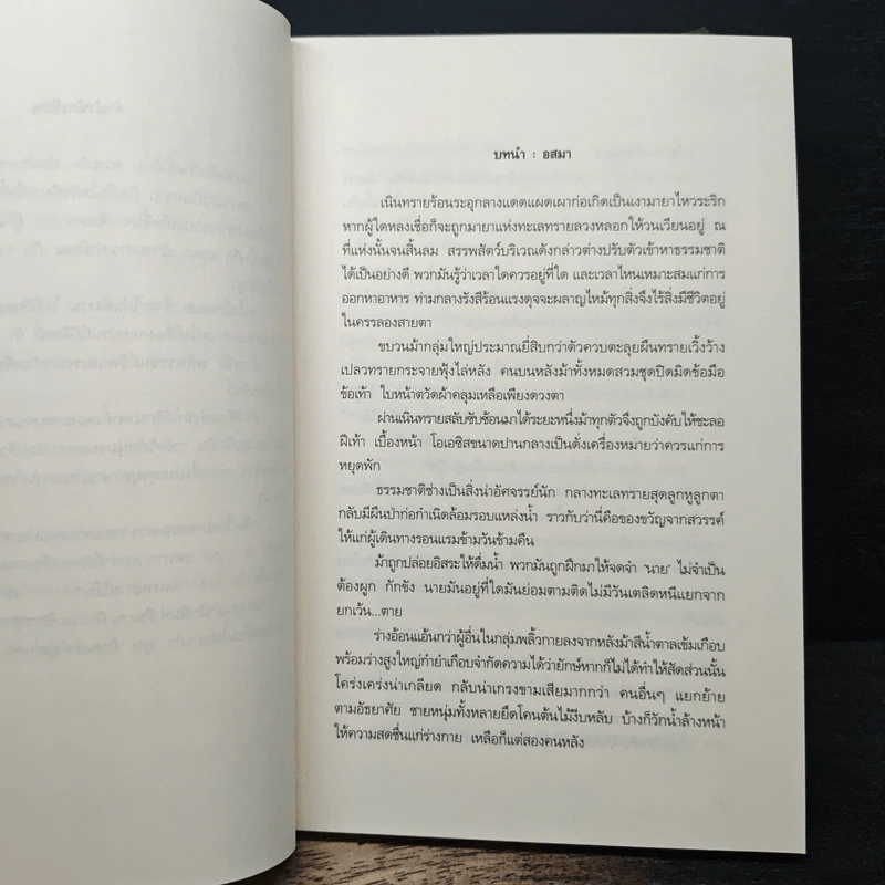 บุหงาแห่งผืนทราย - ปรุฬห์ รูปที่ 7