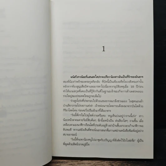 เงาซ่อนเงา - ปลายตะวัน รูปที่ 7